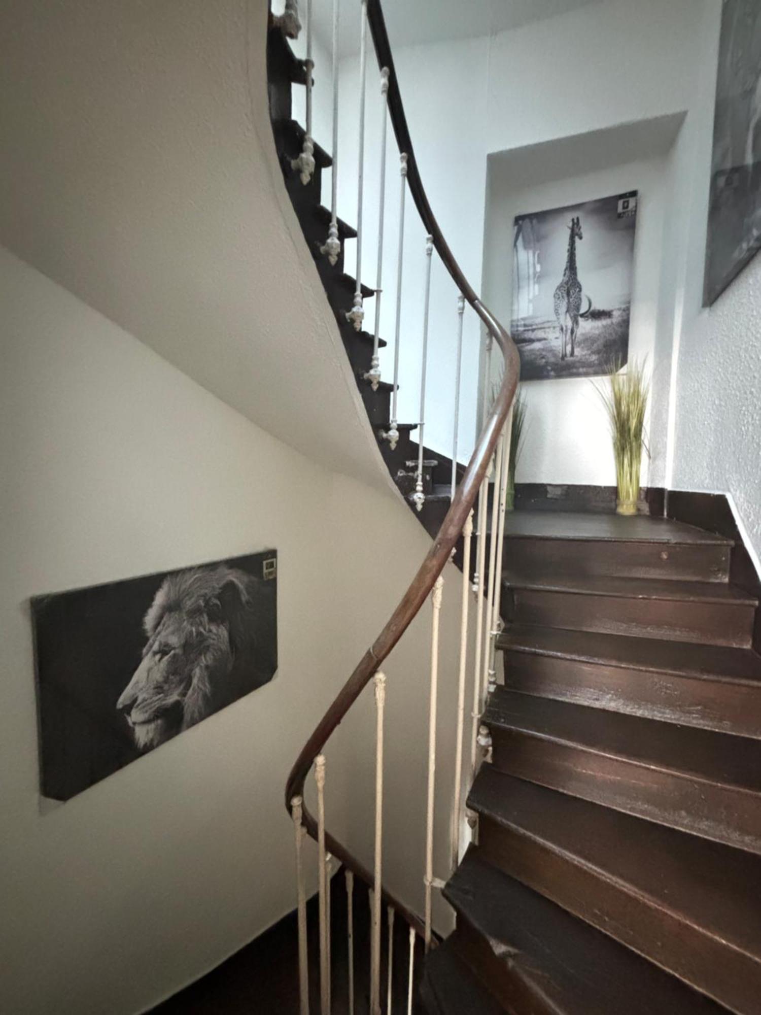 Le Duplex Safari Apartment Saint-Aignan  Exterior foto